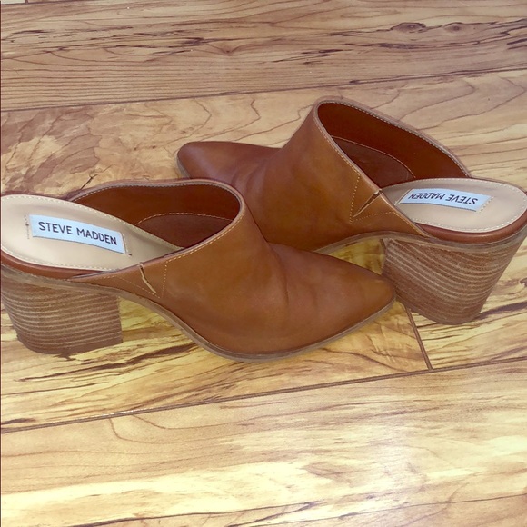 steve madden barrier pointed toe mule